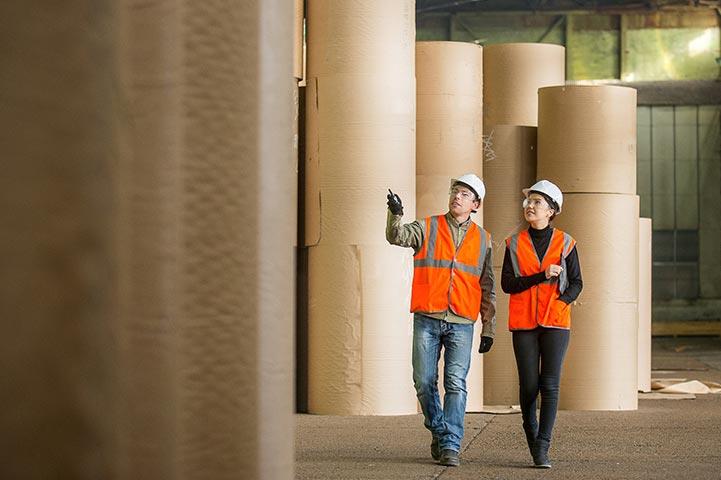 two people walking by large rolls of paper in a paper mill